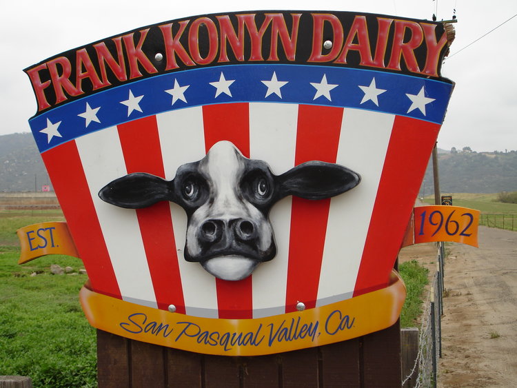 Konyn Dairy  Firma Görseli